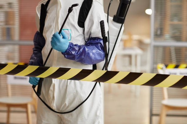 Professional Infectious Disease Decontamination technician working in Saint Louisville, OH