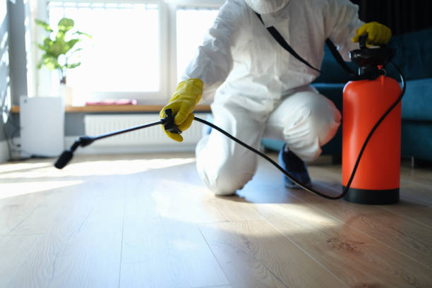 Trusted Sewage Cleanup service in Saint Louisville, OH - Four Month Blood Cleanse